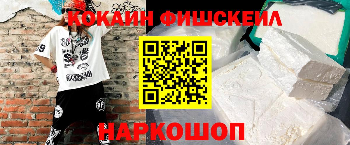 COCAIN Fish Scale  Кокаин Fish Scale  Вход с VPN  Гусь-Хрустальный 