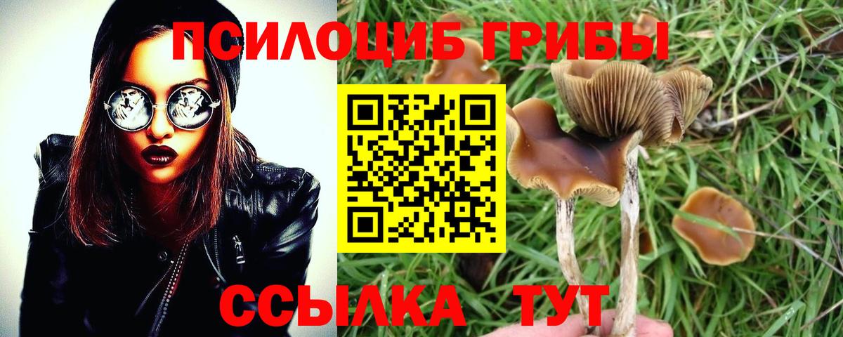 Гусь-Хрустальный  Псилоцибиновые грибы прущие грибы  Вход с VPN 