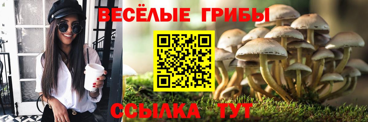 Галлюциногенные грибы Cubensis Гусь-Хрустальный